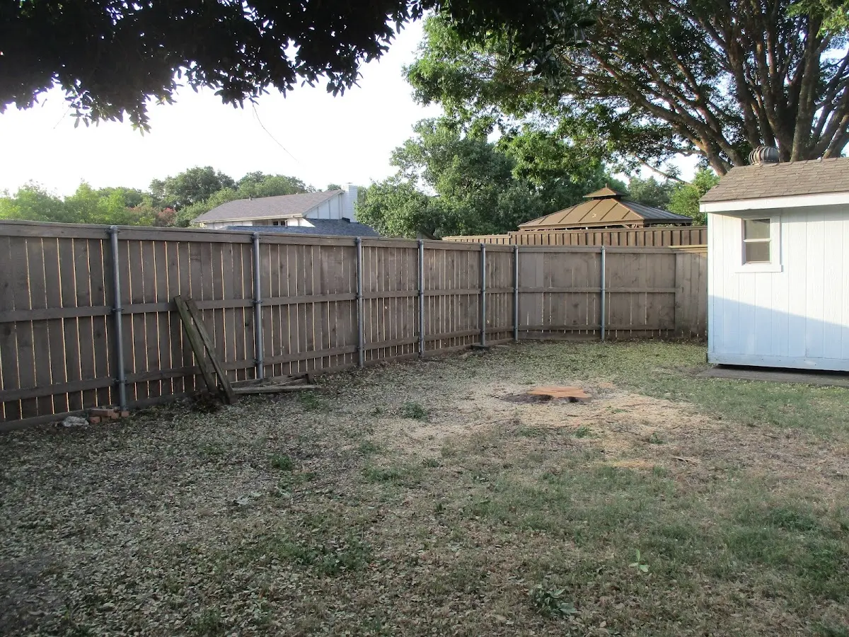 Cleared yard after professional tree removal in Greenup